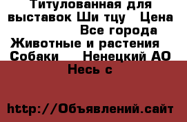 Титулованная для выставок Ши-тцу › Цена ­ 100 000 - Все города Животные и растения » Собаки   . Ненецкий АО,Несь с.